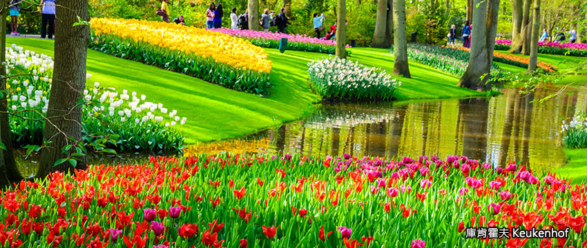 荷蘭-庫肯霍夫花園